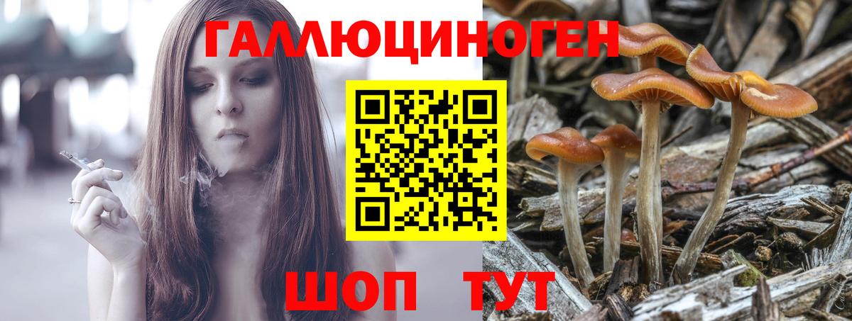 Полысаево  Галлюциногенные грибы мухоморы  Вход с VPN 